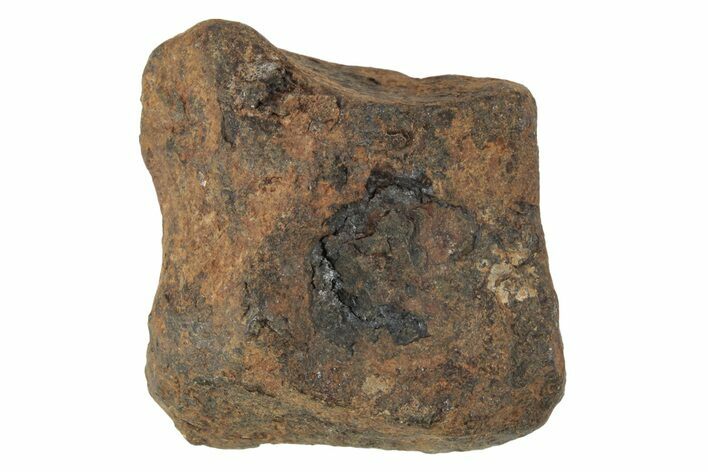 Agoudal Iron Meteorite ( g) - Morocco #245619